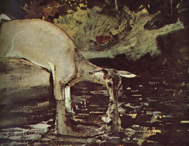 Deer drink, Winslow Homer